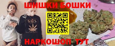 гашик Шебекино