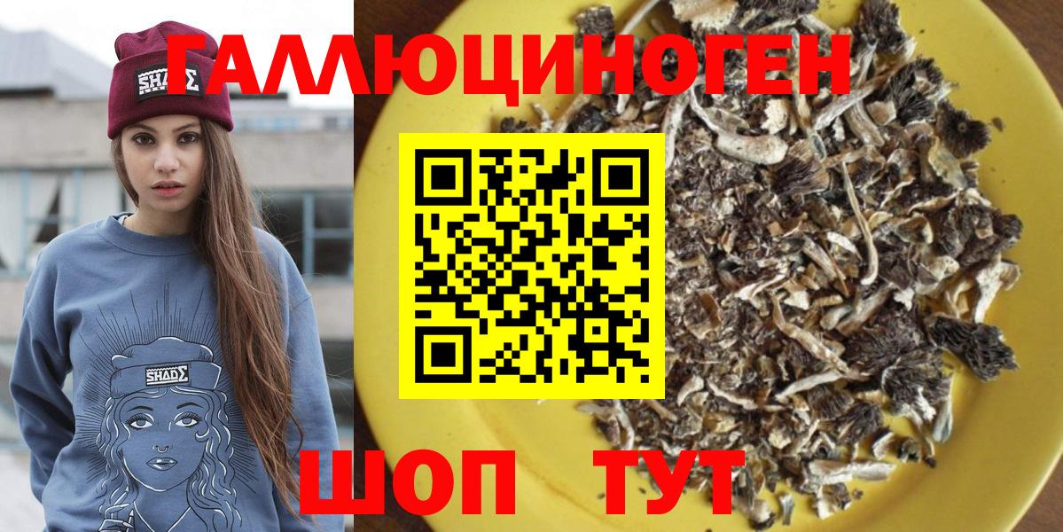 Псилоцибиновые грибы GOLDEN TEACHER  Вход с VPN  Лесозаводск 