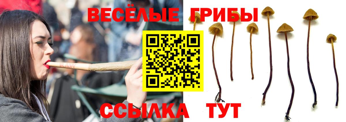 Галлюциногенные грибы прущие грибы Лесозаводск